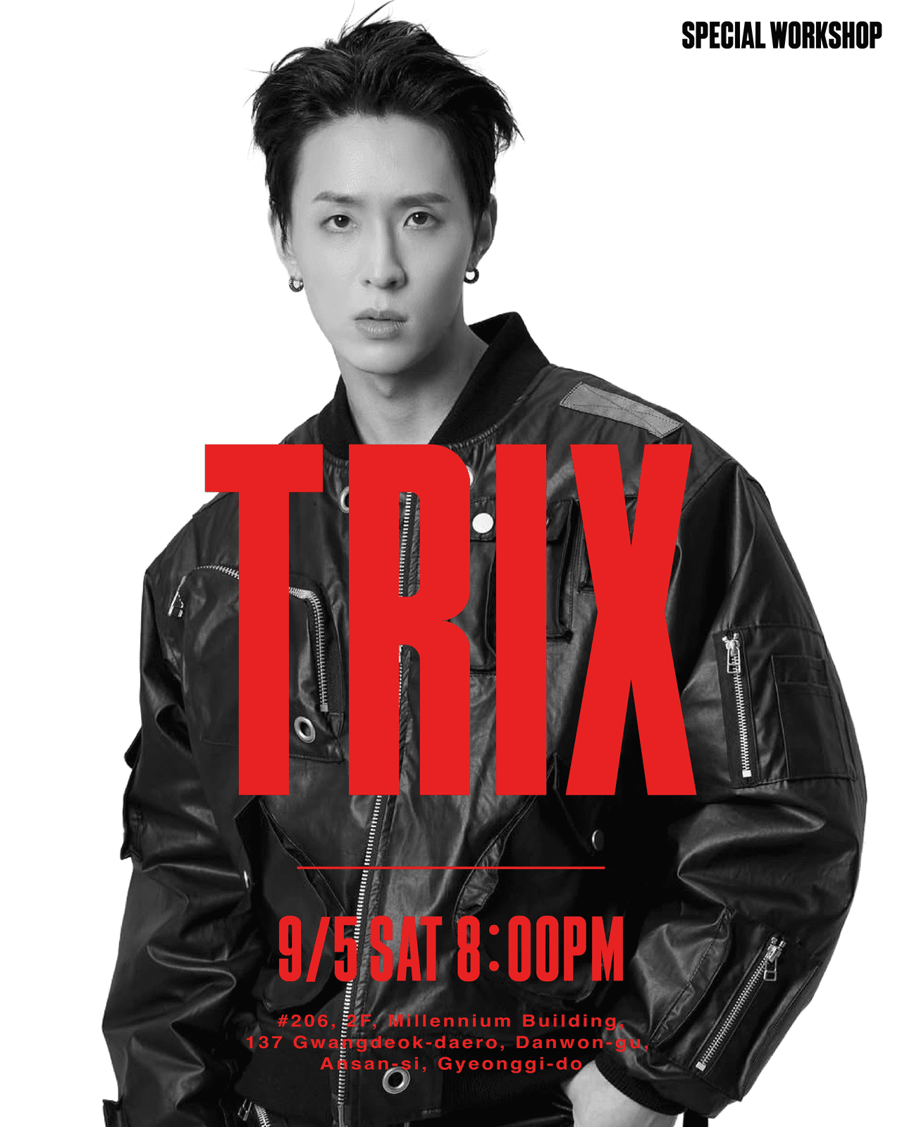 TRIX WORKSHOP
